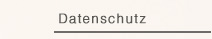 Datenschutzerklaerung