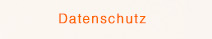 Datenschutzerklaerung
