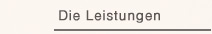 Die Leistungen