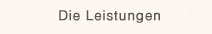 Die Leistungen